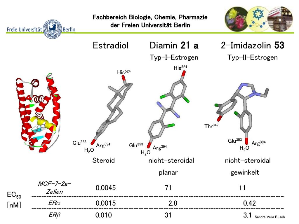 Estradiol Diamin 21 a 2-Imidazolin 53 Typ-I-Estrogen Typ-II-Estrogen