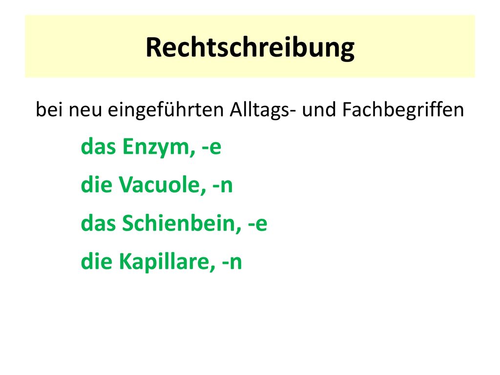 bei neu eingeführten Alltags- und Fachbegriffen