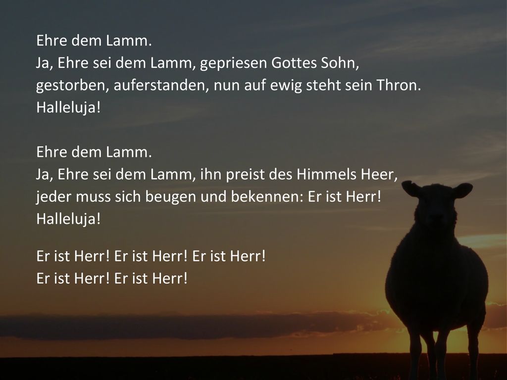 Ehre dem Lamm Ehre dem Lamm. Ja, Ehre sei dem Lamm, gepriesen Gottes Sohn, gestorben, auferstanden, nun auf ewig steht sein Thron. Halleluja!