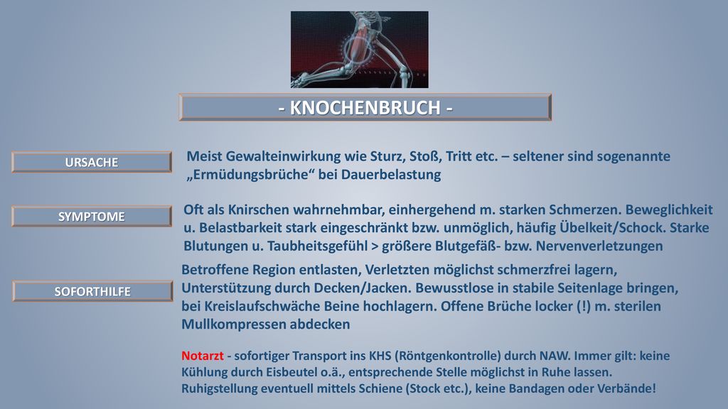 - KNOCHENBRUCH - Meist Gewalteinwirkung wie Sturz, Stoß, Tritt etc. – seltener sind sogenannte „Ermüdungsbrüche bei Dauerbelastung.