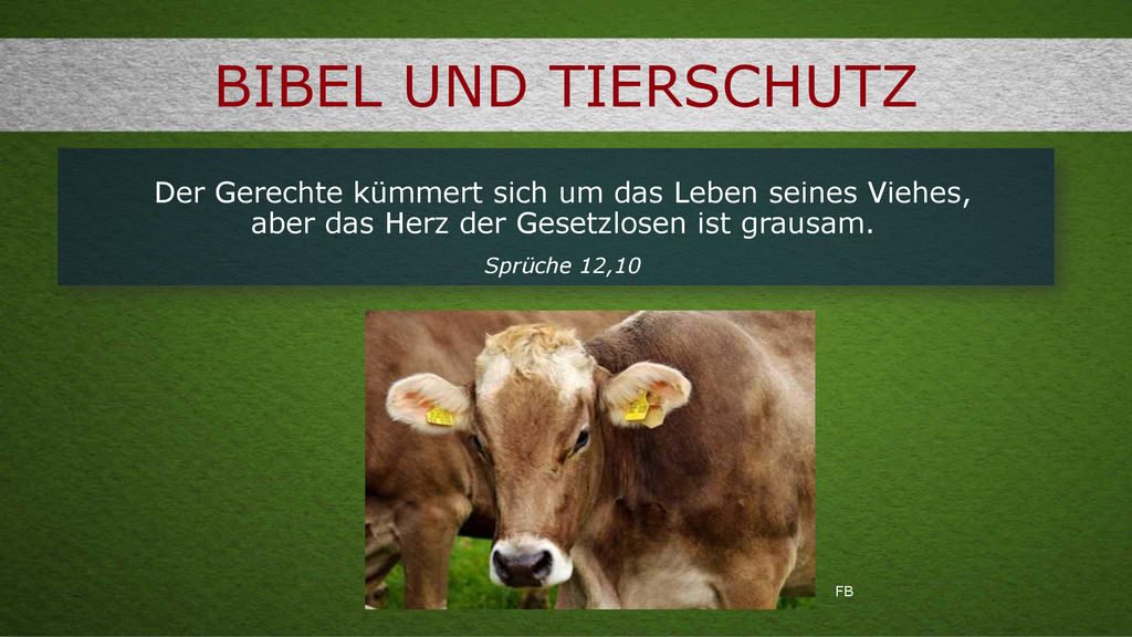 Bibel und Tierschutz Der Gerechte kümmert sich um das Leben seines Viehes, aber das Herz der Gesetzlosen ist grausam.