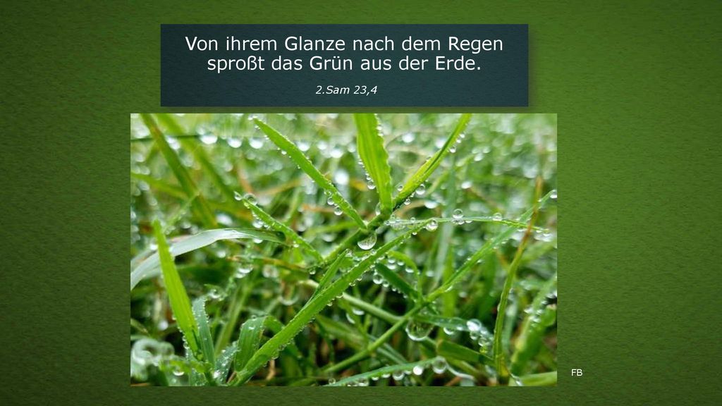 Von ihrem Glanze nach dem Regen sproßt das Grün aus der Erde.