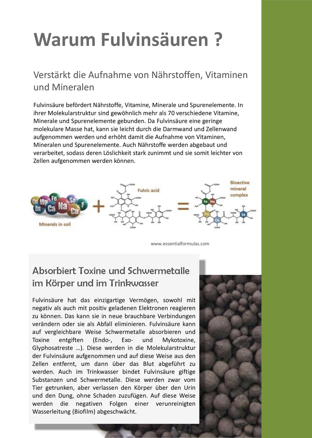 Warum Fulvinsäuren Verstärkt die Aufnahme von Nährstoffen, Vitaminen und Mineralen.