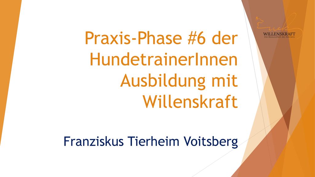 Praxis-Phase #6 der HundetrainerInnen Ausbildung mit Willenskraft Franziskus Tierheim Voitsberg