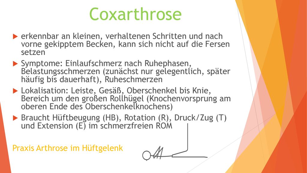 Coxarthrose erkennbar an kleinen, verhaltenen Schritten und nach vorne gekipptem Becken, kann sich nicht auf die Fersen setzen.