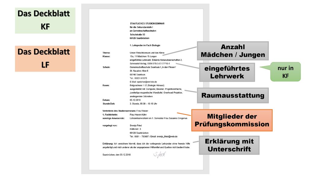 Das Deckblatt KF Das Deckblatt LF Anzahl Mädchen / Jungen nur in KF