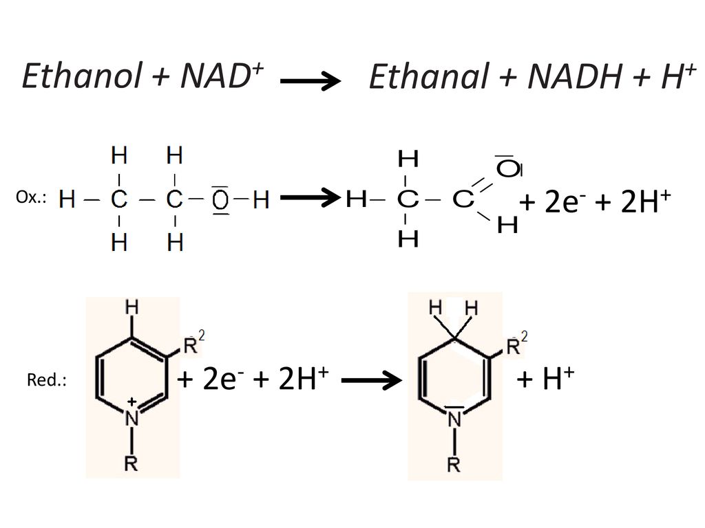 Ethanol + NAD+ Ethanal + NADH + H+ + 2e- + 2H+ + 2e- + 2H+ + H+ Ox.:
