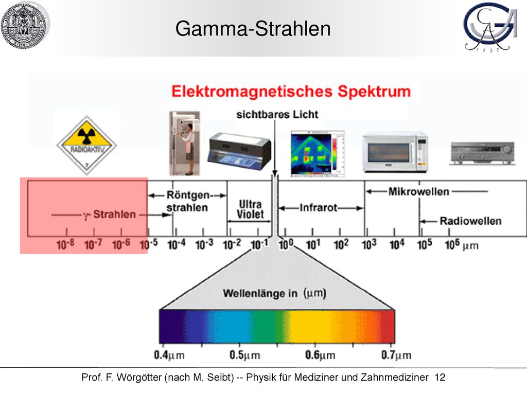 Gamma-Strahlen Prof. F. Wörgötter (nach M. Seibt) -- Physik für Mediziner und Zahnmediziner 12
