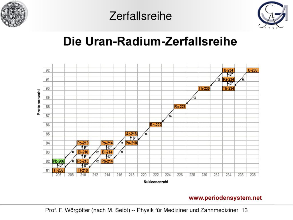 Zerfallsreihe Prof. F. Wörgötter (nach M. Seibt) -- Physik für Mediziner und Zahnmediziner 13
