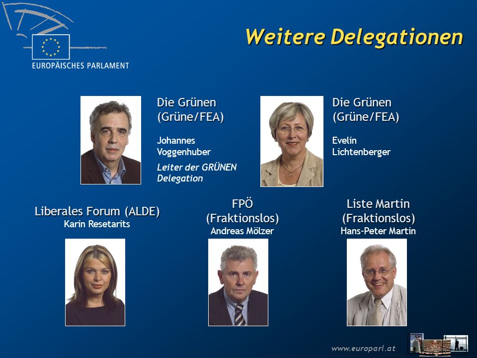 Weitere Delegationen Die Grünen (Grüne/FEA) Die Grünen (Grüne/FEA)