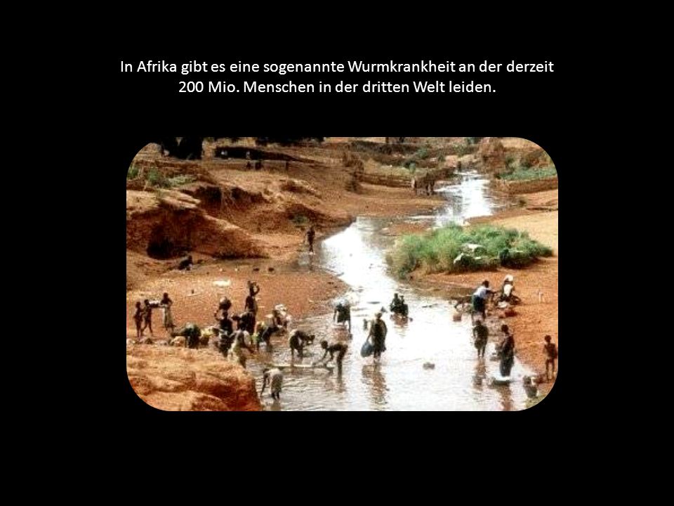 In Afrika gibt es eine sogenannte Wurmkrankheit an der derzeit