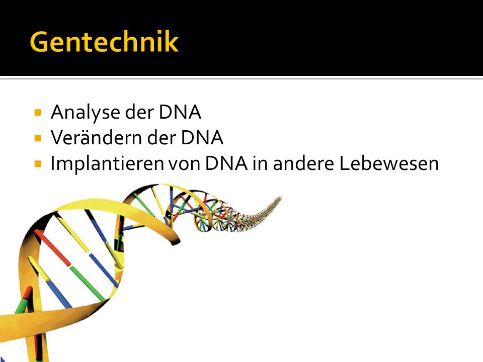 Gentechnik Analyse der DNA Verändern der DNA