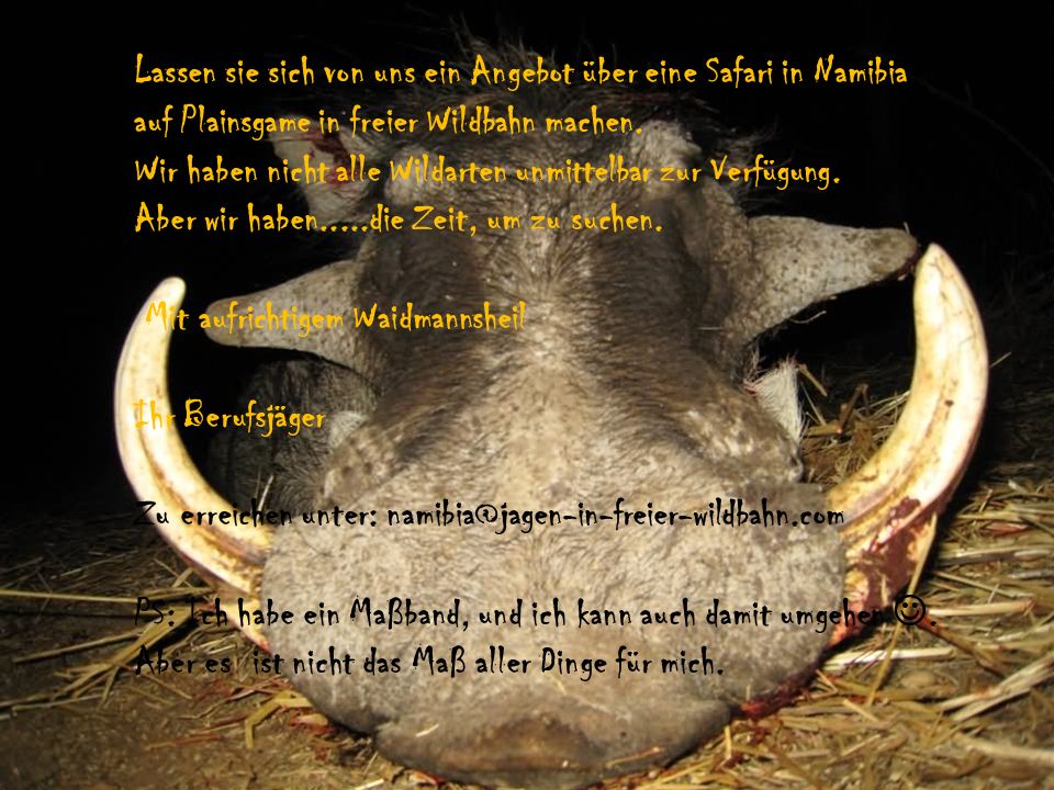 Lassen sie sich von uns ein Angebot über eine Safari in Namibia
