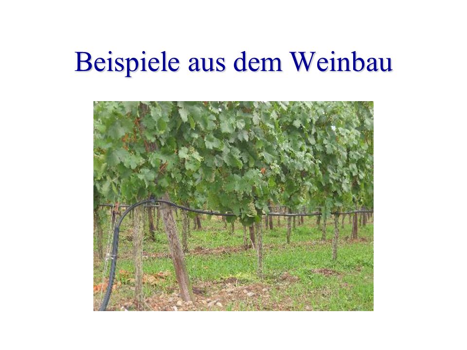 Beispiele aus dem Weinbau