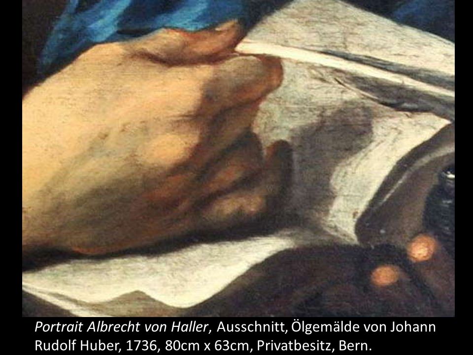 Portrait Albrecht von Haller, Ausschnitt, Ölgemälde von Johann Rudolf Huber, 1736, 80cm x 63cm, Privatbesitz, Bern.