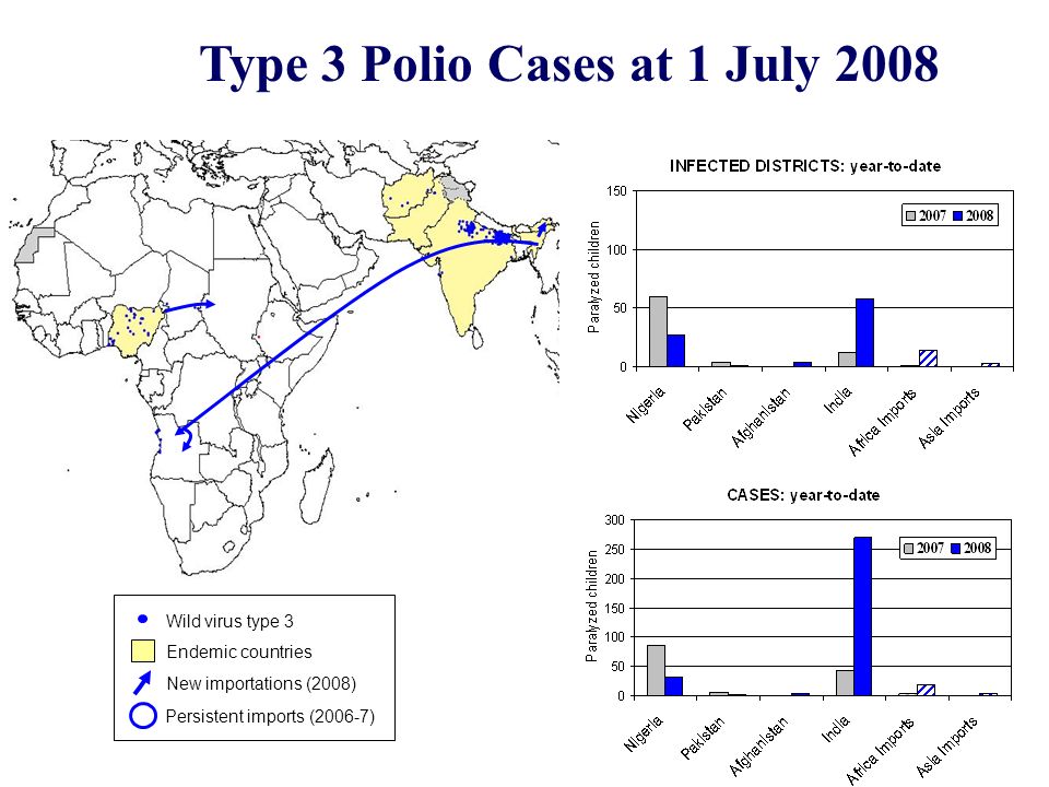 Type 3 Polio Cases at 1 July 2008