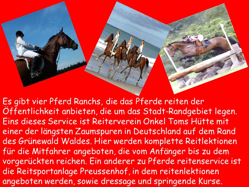 Es gibt vier Pferd Ranchs, die das Pferde reiten der Öffentlichkeit anbieten, die um das Stadt-Randgebiet legen.