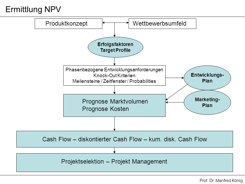 Ermittlung NPV Produktkonzept Wettbewerbsumfeld Prognose Marktvolumen