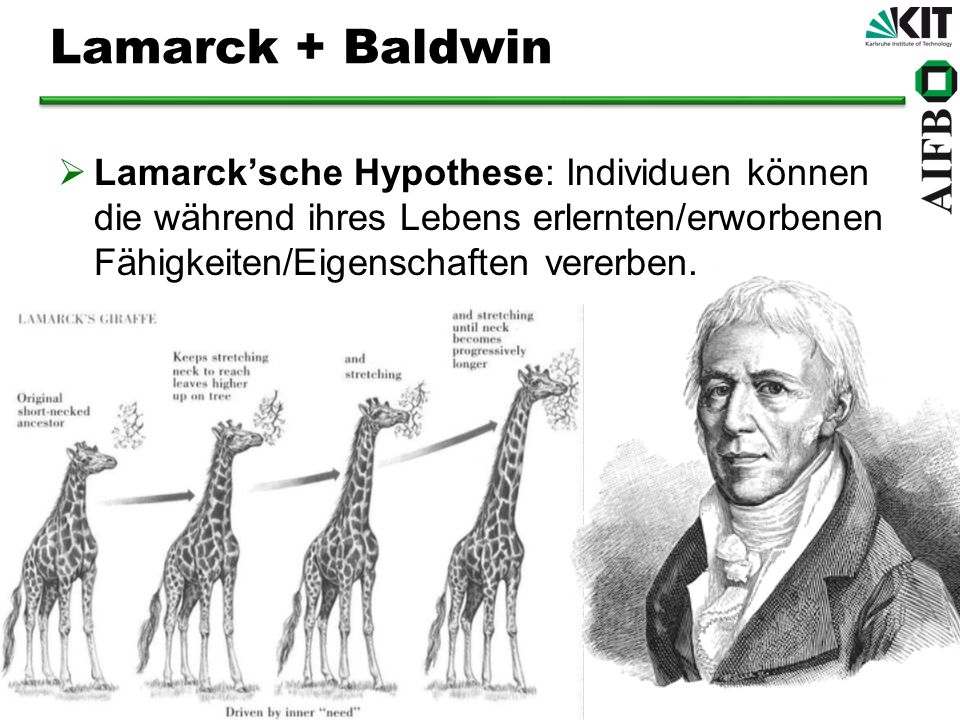 Lamarck + Baldwin Lamarck’sche Hypothese: Individuen können die während ihres Lebens erlernten/erworbenen Fähigkeiten/Eigenschaften vererben.