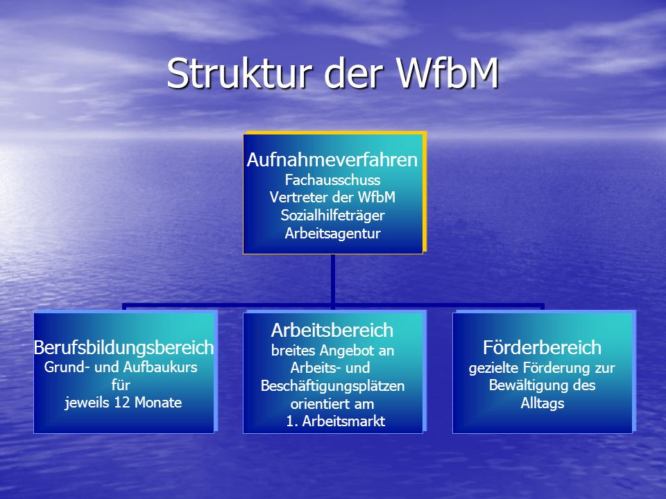 Struktur der WfbM