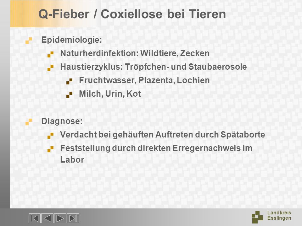 Q-Fieber / Coxiellose bei Tieren