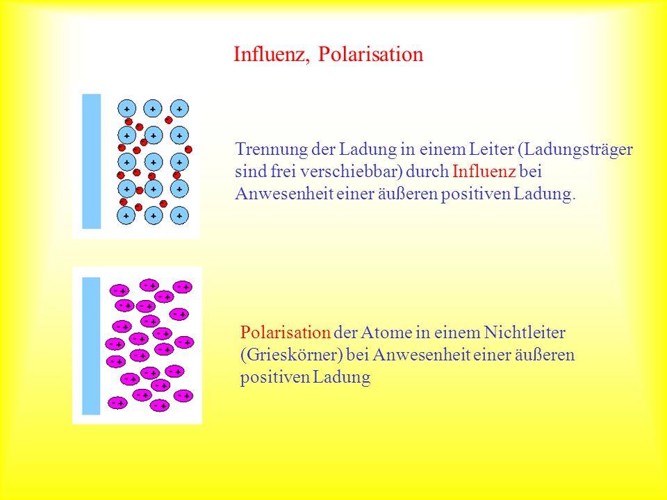 Influenz, Polarisation