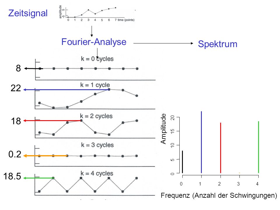 Zeitsignal Fourier-Analyse Spektrum Amplitude