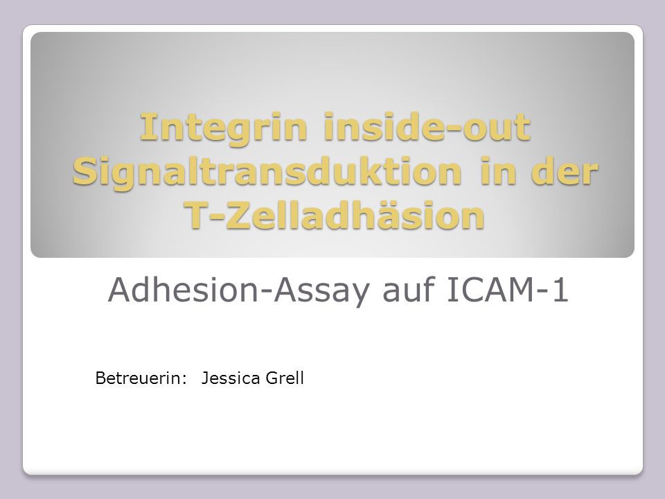 Integrin inside-out Signaltransduktion in der T-Zelladhäsion