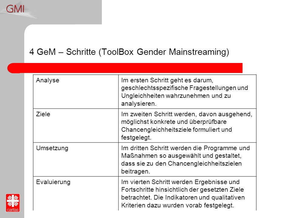 4 GeM – Schritte (ToolBox Gender Mainstreaming)