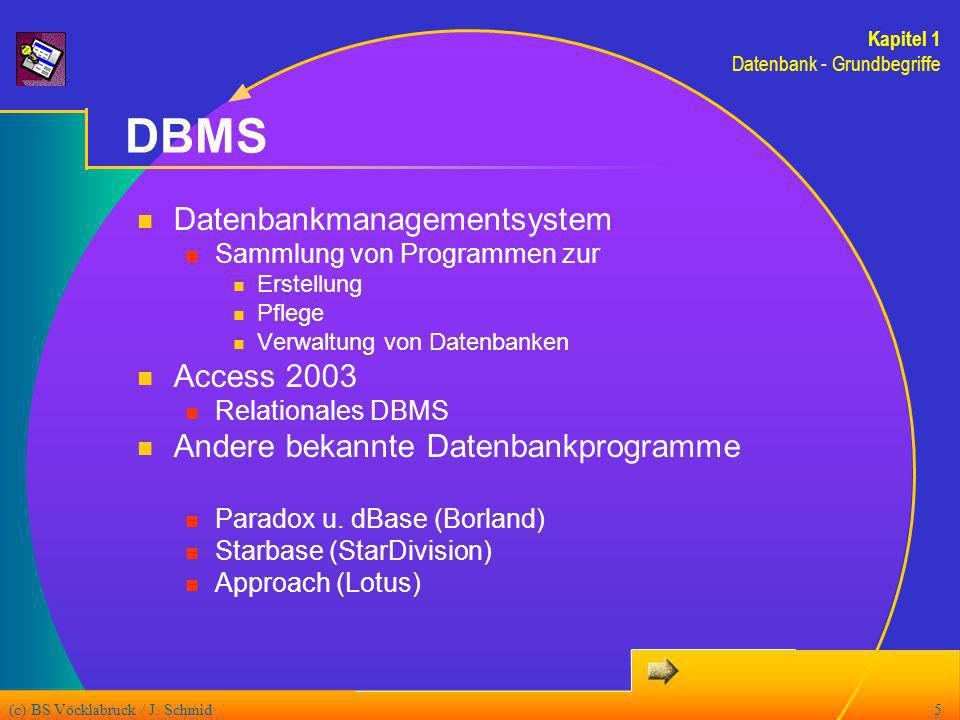 DBMS Datenbankmanagementsystem Access 2003