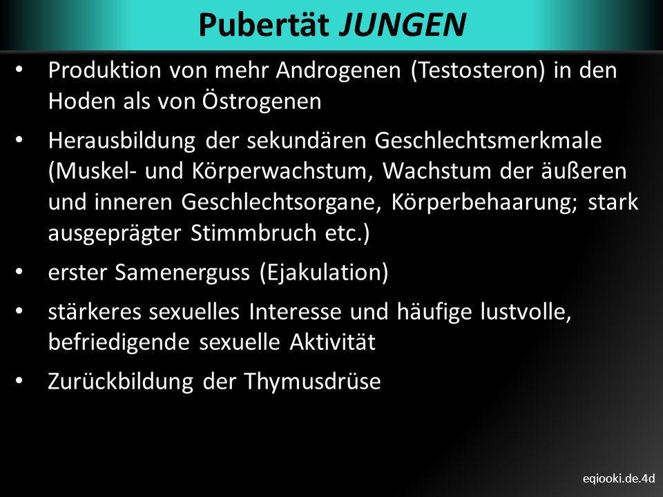 Pubertät JUNGEN Produktion von mehr Androgenen (Testosteron) in den Hoden als von Östrogenen.