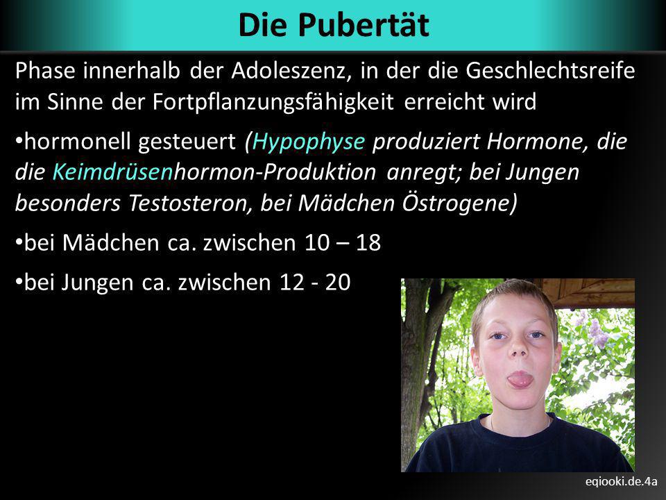 Die Pubertät Phase innerhalb der Adoleszenz, in der die Geschlechtsreife im Sinne der Fortpflanzungsfähigkeit erreicht wird.