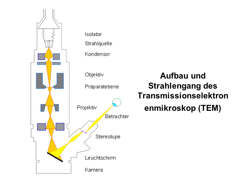 Aufbau und Strahlengang des Transmissionselektronenmikroskop (TEM)