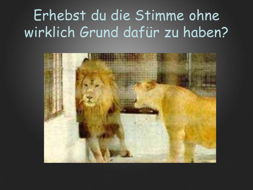 Erhebst du die Stimme ohne wirklich Grund dafür zu haben