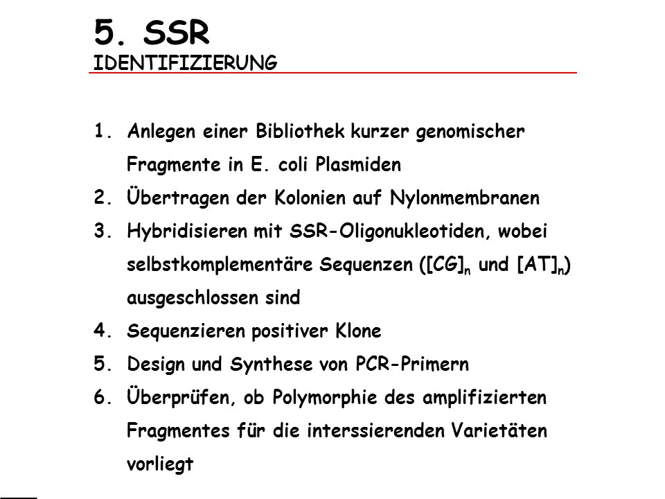 5. SSR IDENTIFIZIERUNG Anlegen einer Bibliothek kurzer genomischer Fragmente in E. coli Plasmiden. Übertragen der Kolonien auf Nylonmembranen.