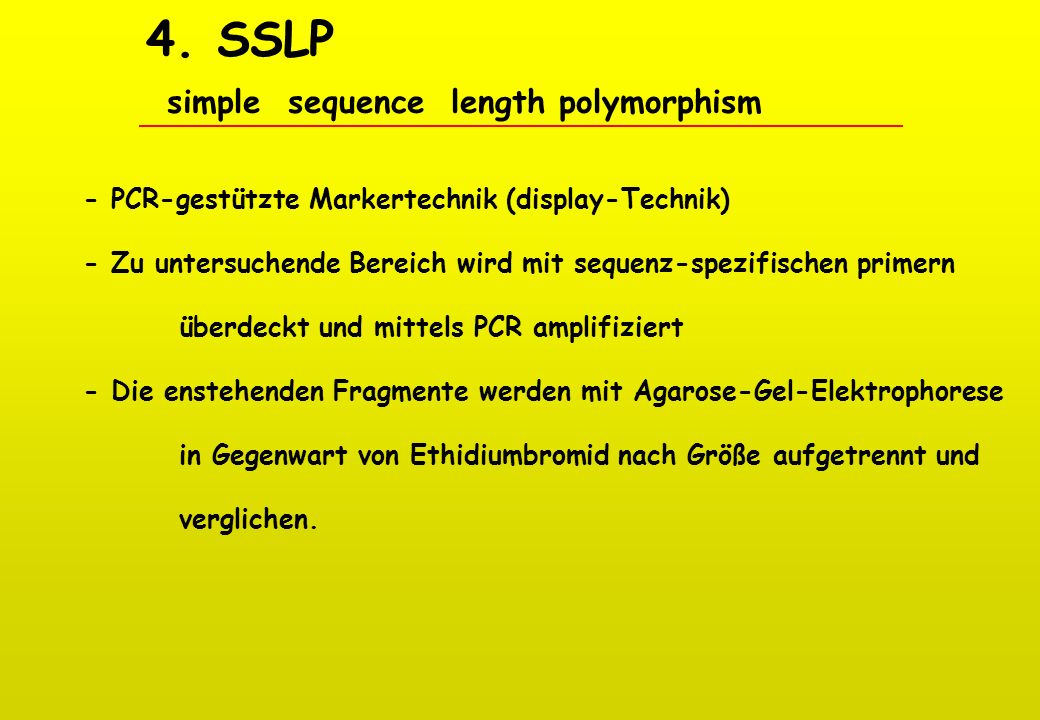 4. SSLP simple sequence length polymorphism