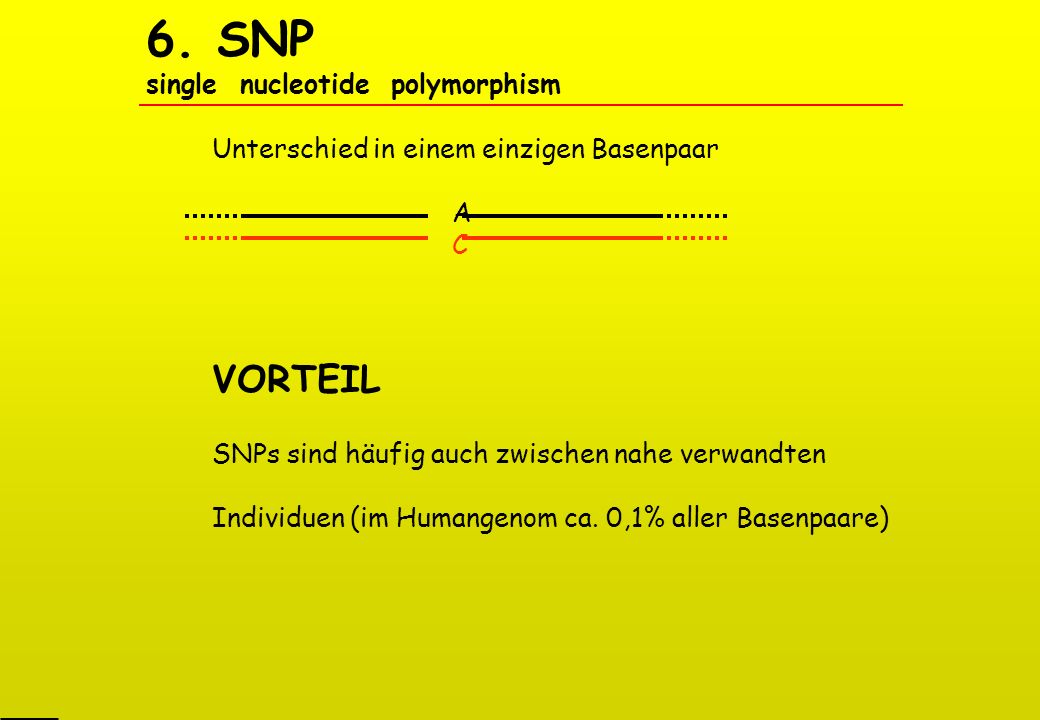 6. SNP single nucleotide polymorphism