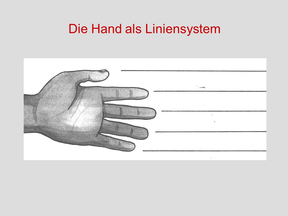 Die Hand als Liniensystem