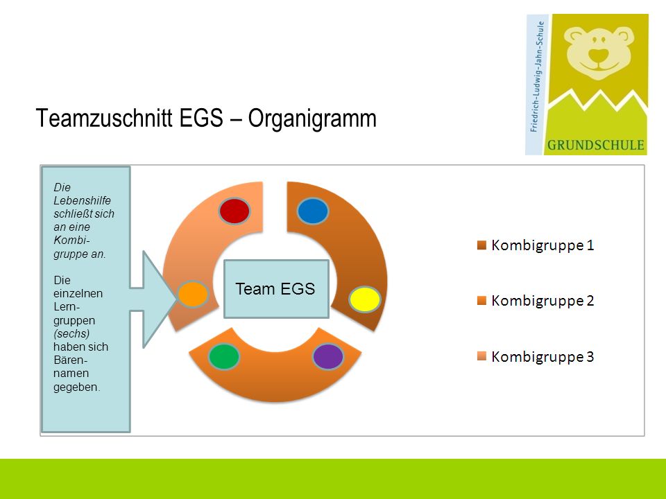 Teamzuschnitt EGS – Organigramm