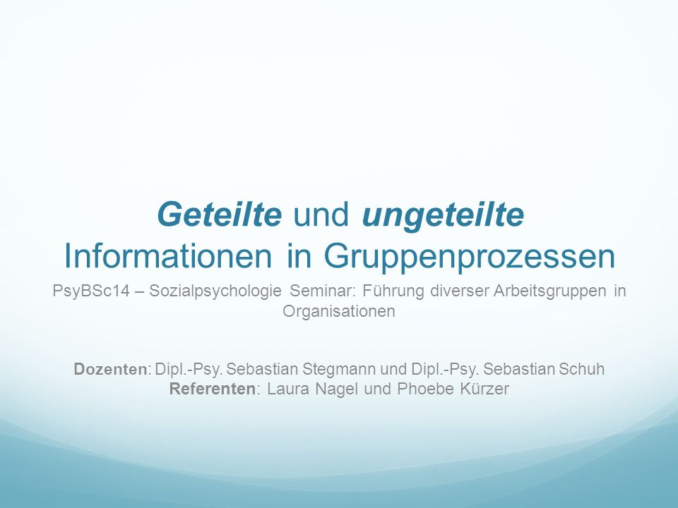 Geteilte und ungeteilte Informationen in Gruppenprozessen