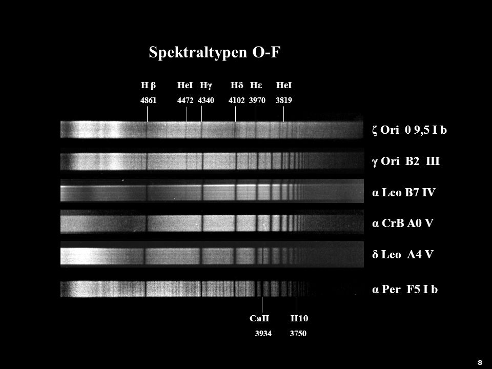 Spektraltypen O-F ζ Ori 0 9,5 I b γ Ori B2 III α Leo B7 IV α CrB A0 V