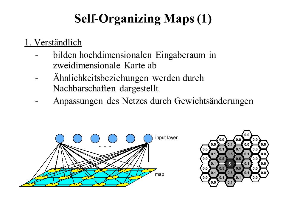 Self-Organizing Maps (1)