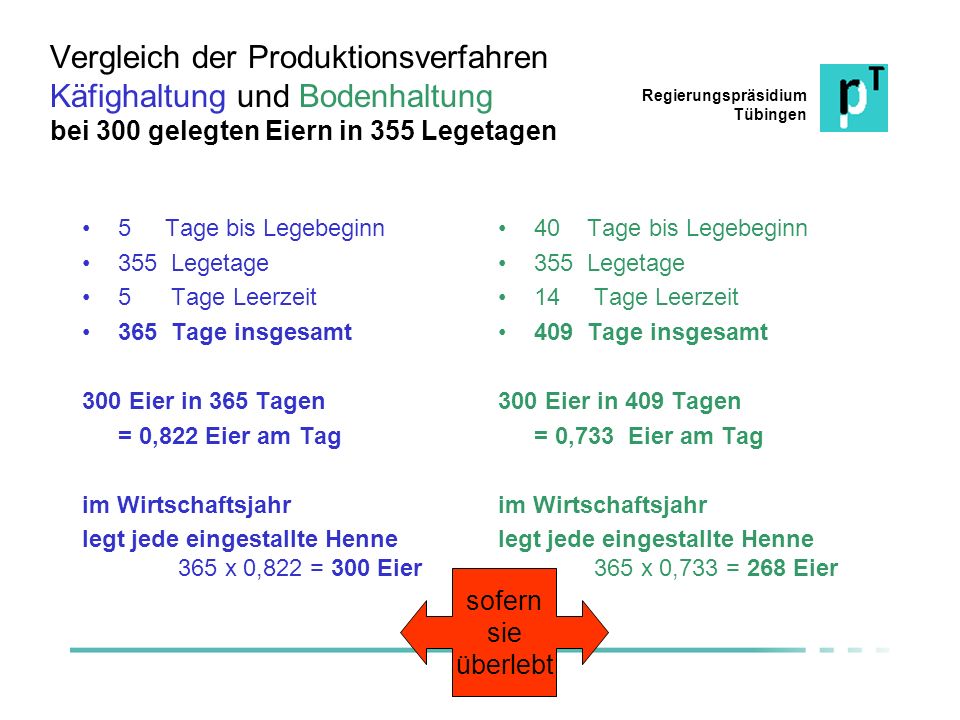 Vergleich der Produktionsverfahren Käfighaltung und Bodenhaltung bei 300 gelegten Eiern in 355 Legetagen