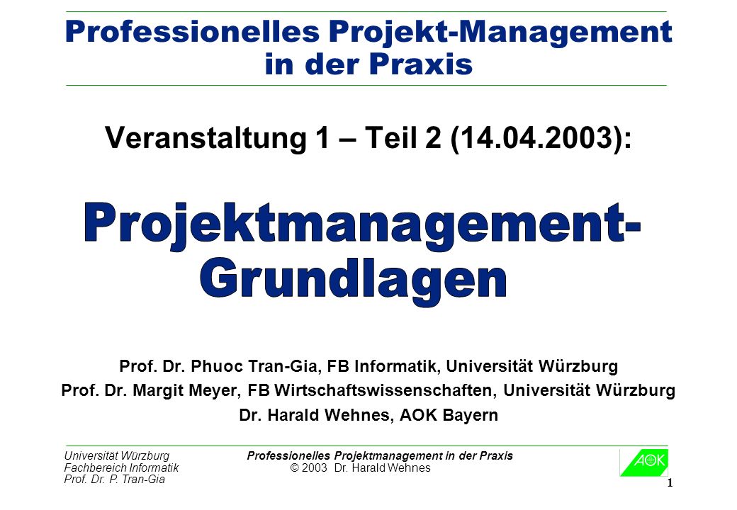 Professionelles Projekt-Management in der Praxis