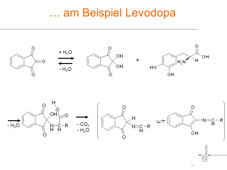 … am Beispiel Levodopa + H2O + - H2O - H2O CO2 - H2O