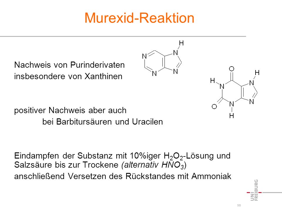 Murexid-Reaktion Nachweis von Purinderivaten