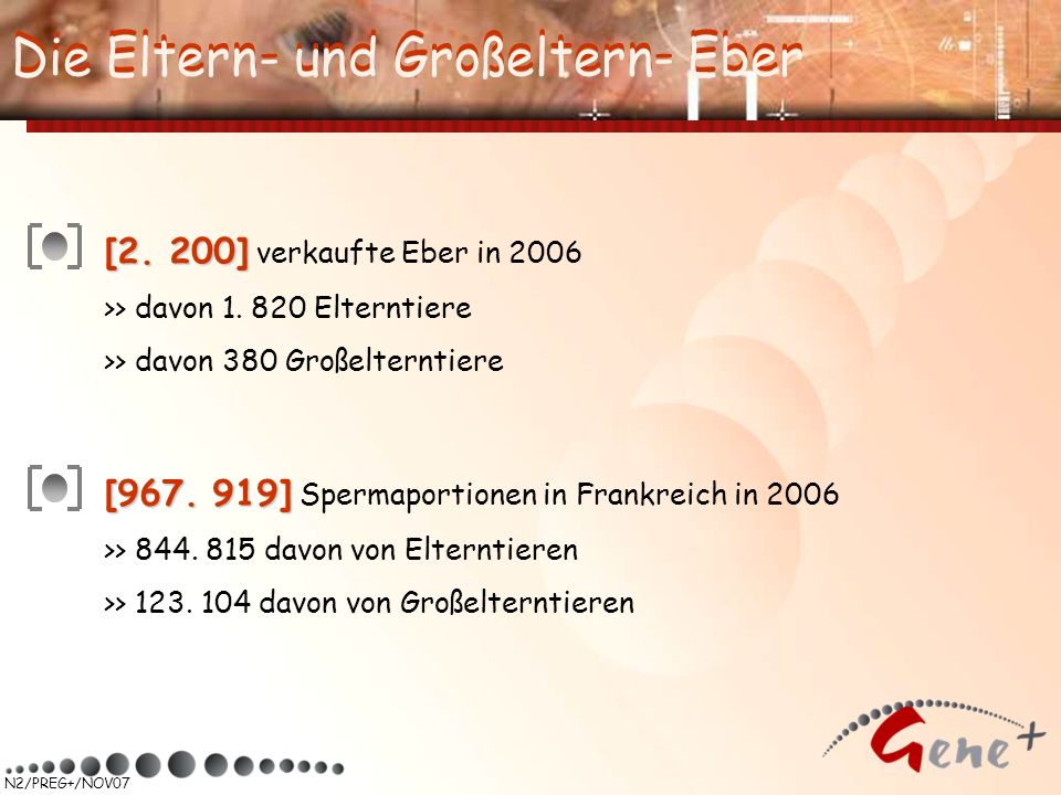 Die Eltern- und Großeltern- Eber Die Eltern- und Großeltern- Eber