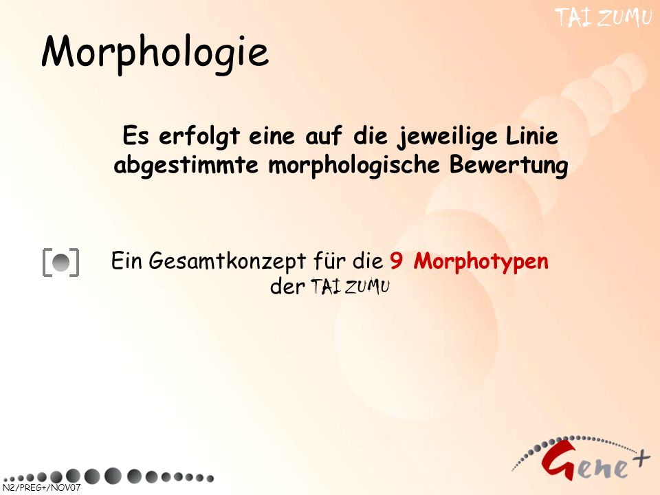 Ein Gesamtkonzept für die 9 Morphotypen der TAI ZUMU