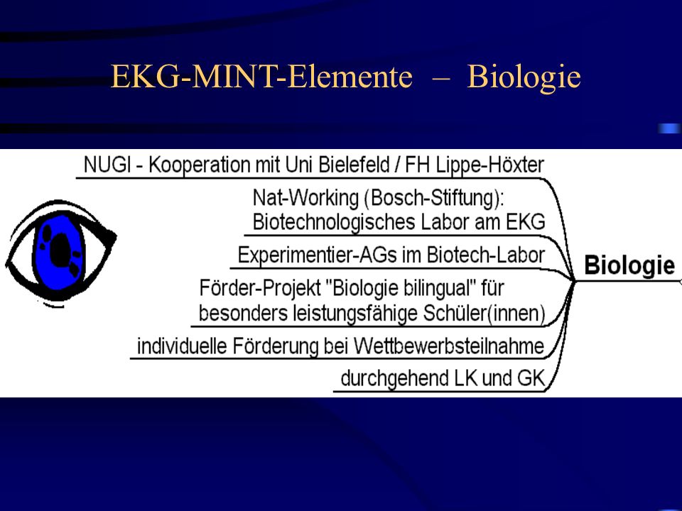 EKG-MINT-Elemente – Biologie