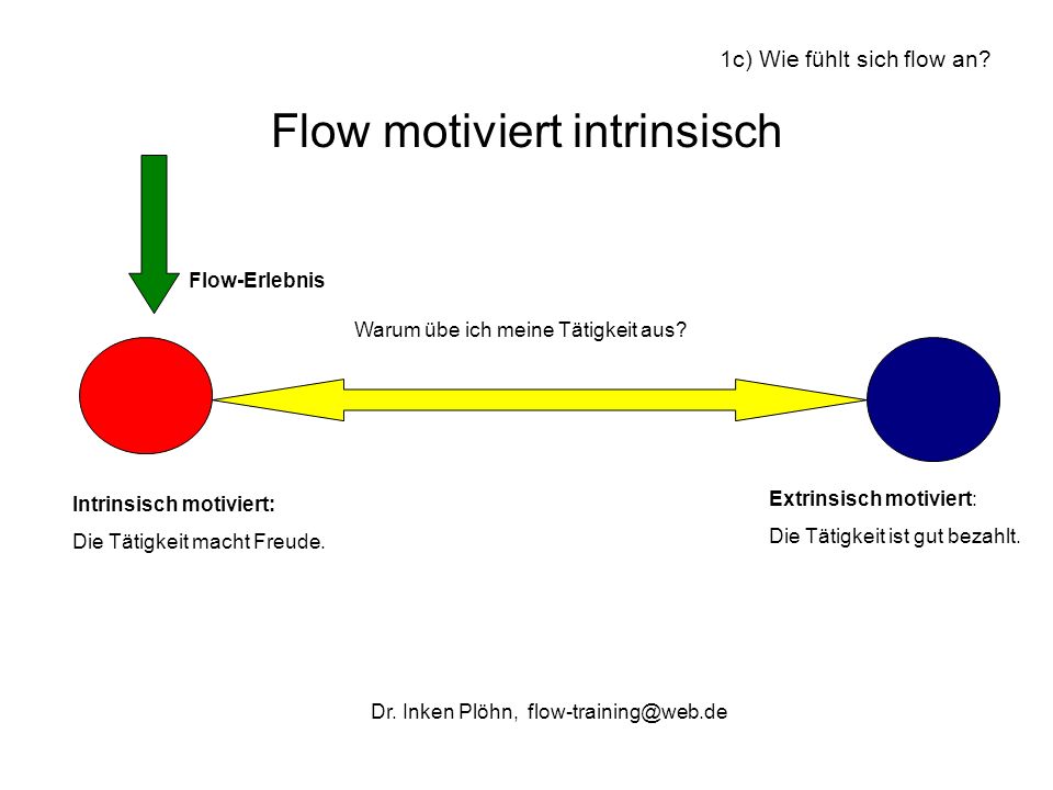 Flow motiviert intrinsisch